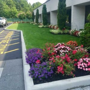 Professional commercial landscaping in Del Mar CA featuring drought-tolerant plants and a clean modern entrance.