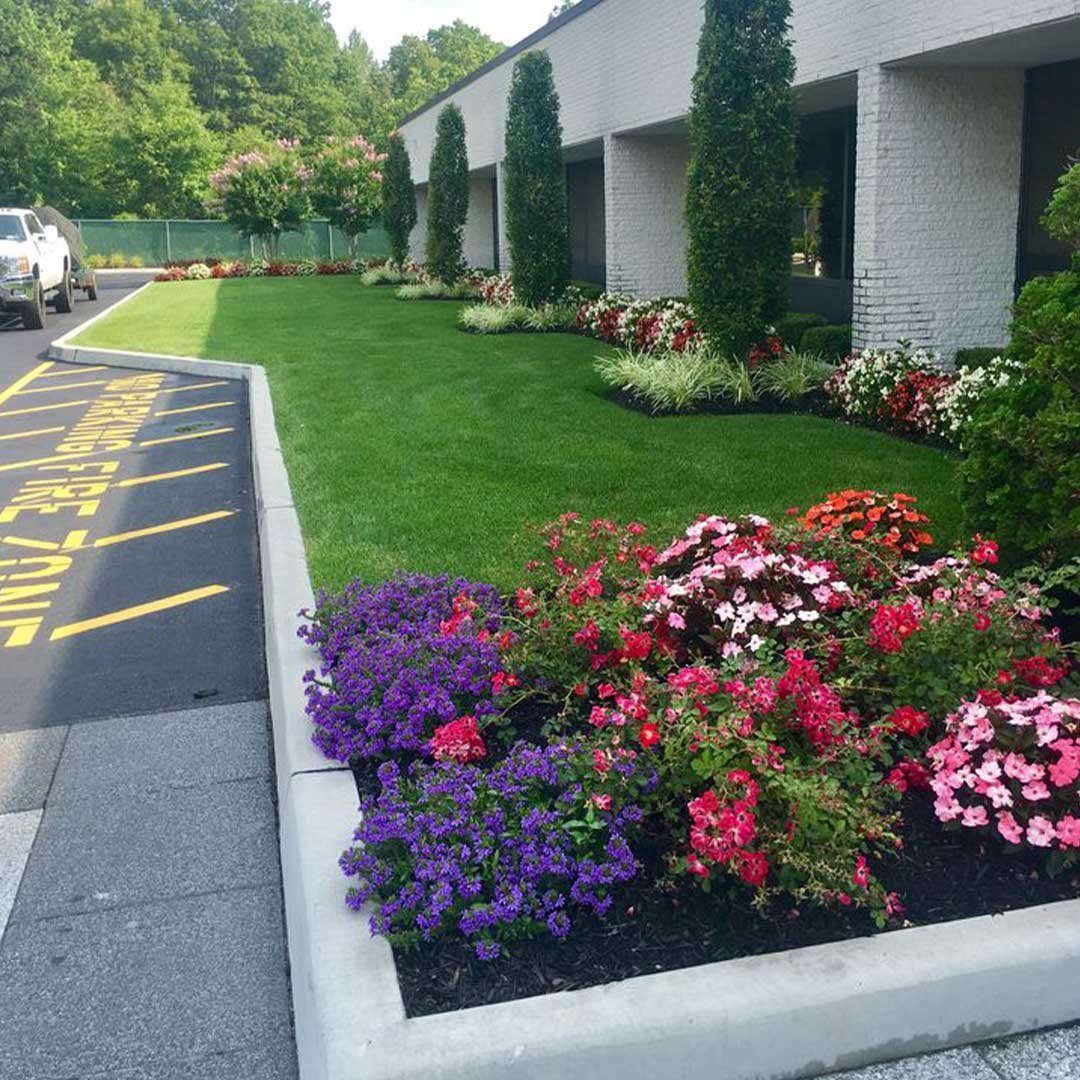 Professional commercial landscaping in Del Mar CA featuring drought-tolerant plants and a clean modern entrance.
