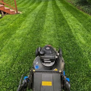 Professional lawn and garden care in Del Mar, CA, featuring a lush, salt-tolerant coastal garden.